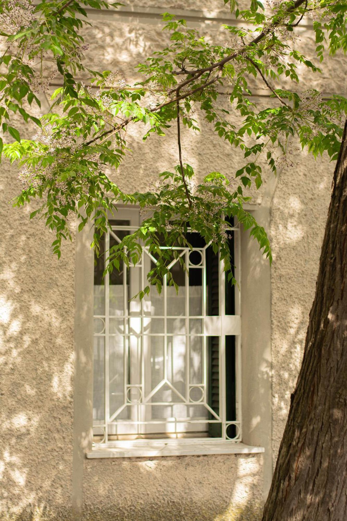 Apartmán Domus Gianicolo 2B Řím Exteriér fotografie